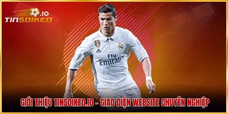 Giới thiệu hoyar.io - Giao diện website chuyên nghiệp