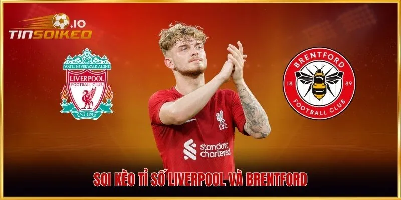 Soi kèo tỉ số Liverpool và Brentford