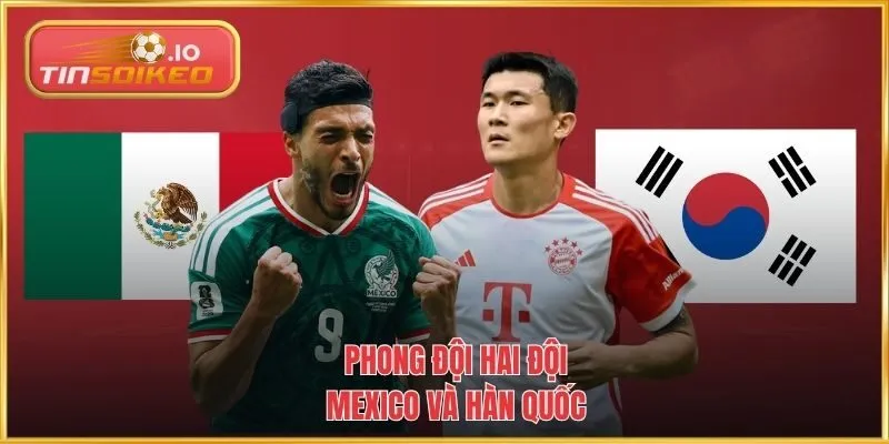 Phong đội hai đội Mexico và Hàn Quốc